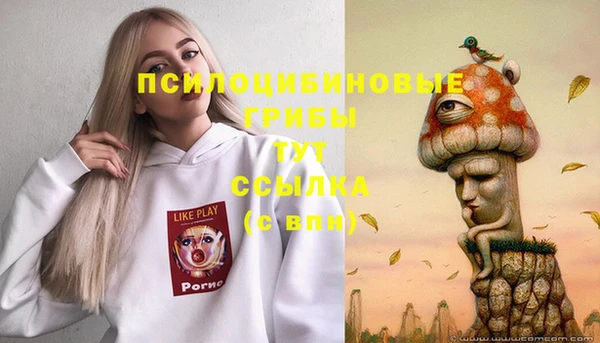 эйфоретик Нея