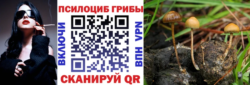 Галлюциногенные грибы MAGIC MUSHROOMS  Туран 